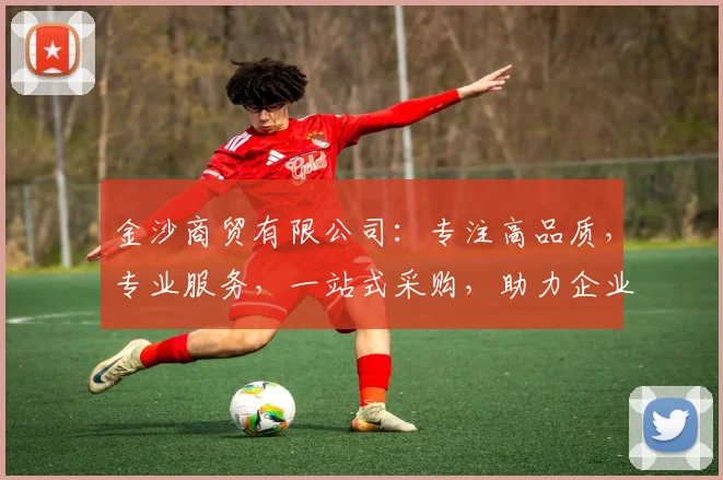 金沙商贸有限公司:专注高品质,专业服务,一站式采购,助力企业腾飞,三重优势,值得信赖。