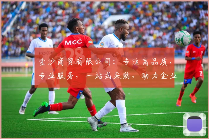 金沙商贸有限公司:专注高品质,专业服务,一站式采购,助力企业腾飞,三重优势,值得信赖。